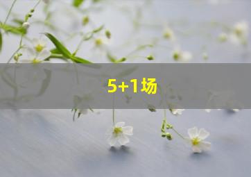 5+1场