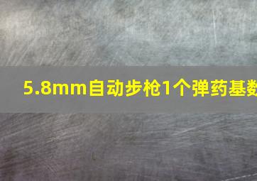 5.8mm自动步枪1个弹药基数