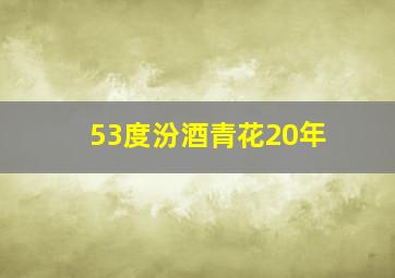 53度汾酒青花20年