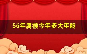 56年属猴今年多大年龄