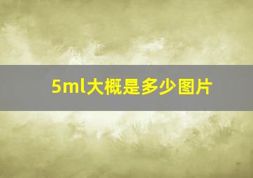 5ml大概是多少图片