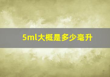 5ml大概是多少毫升