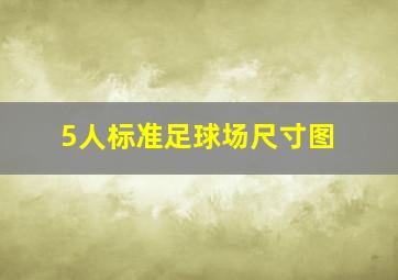 5人标准足球场尺寸图