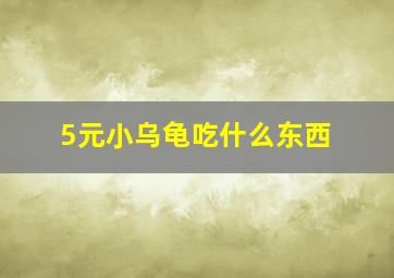 5元小乌龟吃什么东西