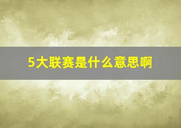 5大联赛是什么意思啊