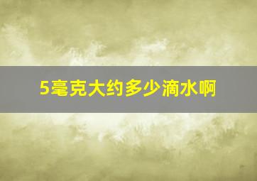 5毫克大约多少滴水啊