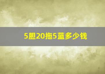 5胆20拖5蓝多少钱