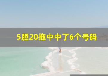 5胆20拖中中了6个号码