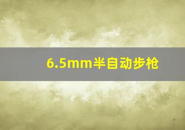 6.5mm半自动步枪