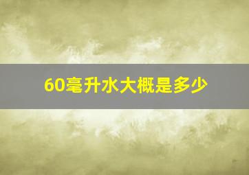 60毫升水大概是多少