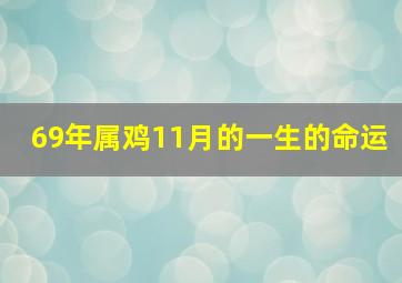 69年属鸡11月的一生的命运