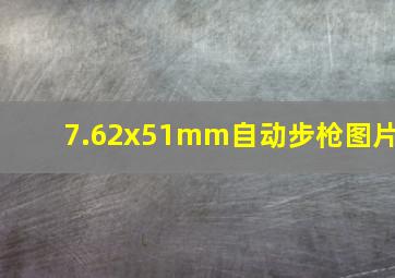 7.62x51mm自动步枪图片