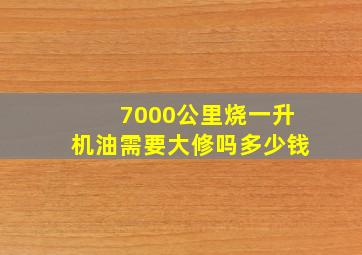 7000公里烧一升机油需要大修吗多少钱