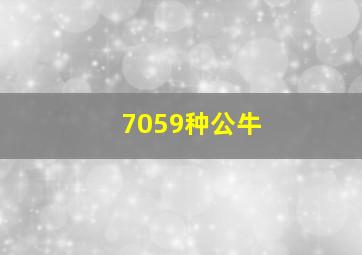 7059种公牛