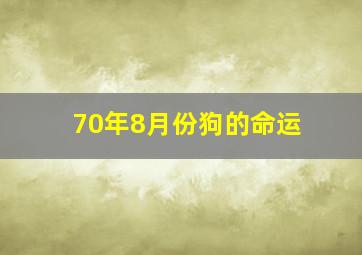 70年8月份狗的命运