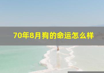 70年8月狗的命运怎么样