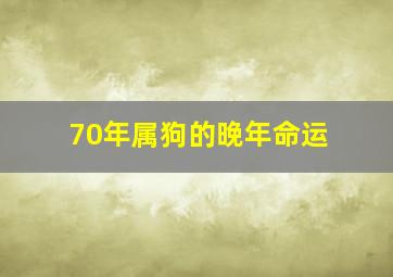 70年属狗的晚年命运