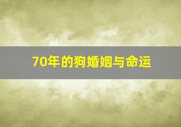 70年的狗婚姻与命运