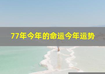 77年今年的命运今年运势