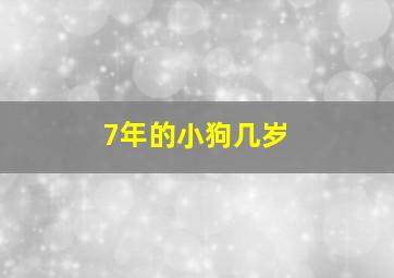 7年的小狗几岁