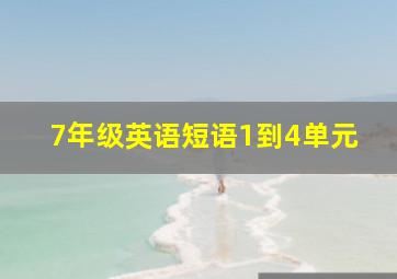 7年级英语短语1到4单元