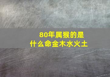 80年属猴的是什么命金木水火土