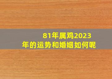 81年属鸡2023年的运势和婚姻如何呢