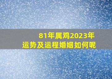 81年属鸡2023年运势及运程婚姻如何呢