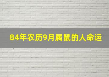 84年农历9月属鼠的人命运