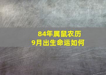 84年属鼠农历9月出生命运如何