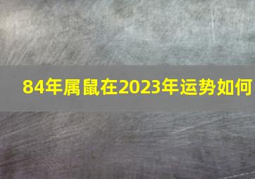 84年属鼠在2023年运势如何