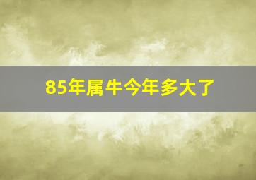 85年属牛今年多大了