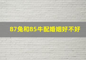 87兔和85牛配婚姻好不好