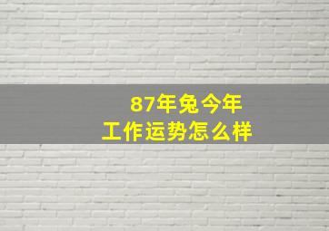 87年兔今年工作运势怎么样