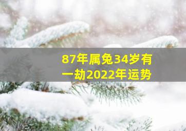 87年属兔34岁有一劫2022年运势