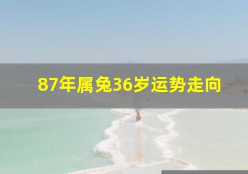 87年属兔36岁运势走向