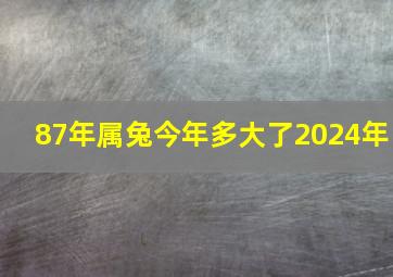 87年属兔今年多大了2024年