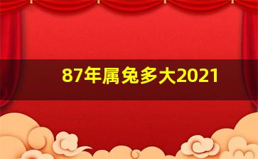 87年属兔多大2021