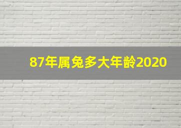 87年属兔多大年龄2020