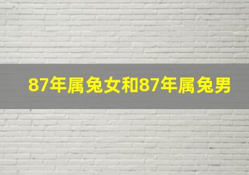 87年属兔女和87年属兔男