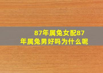 87年属兔女配87年属兔男好吗为什么呢