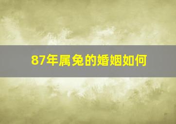 87年属兔的婚姻如何