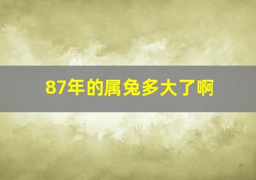 87年的属兔多大了啊