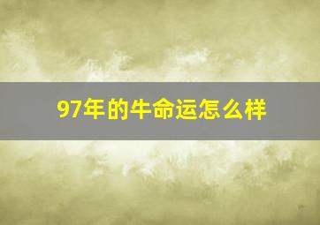 97年的牛命运怎么样