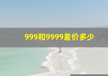 999和9999差价多少