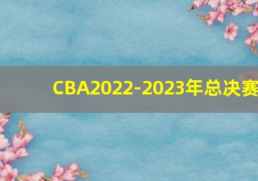 CBA2022-2023年总决赛