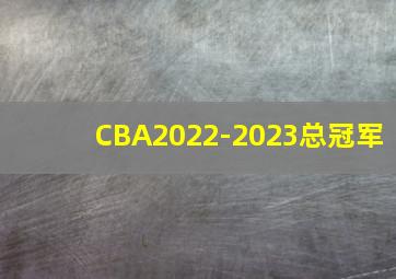 CBA2022-2023总冠军