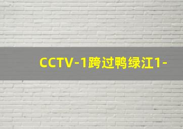 CCTV-1跨过鸭绿江1-