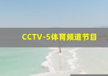 CCTV-5体育频道节目