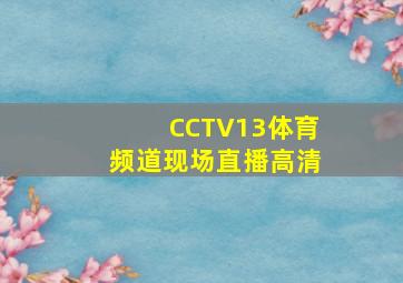 CCTV13体育频道现场直播高清